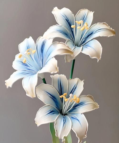 英国百合花的花语是什么？