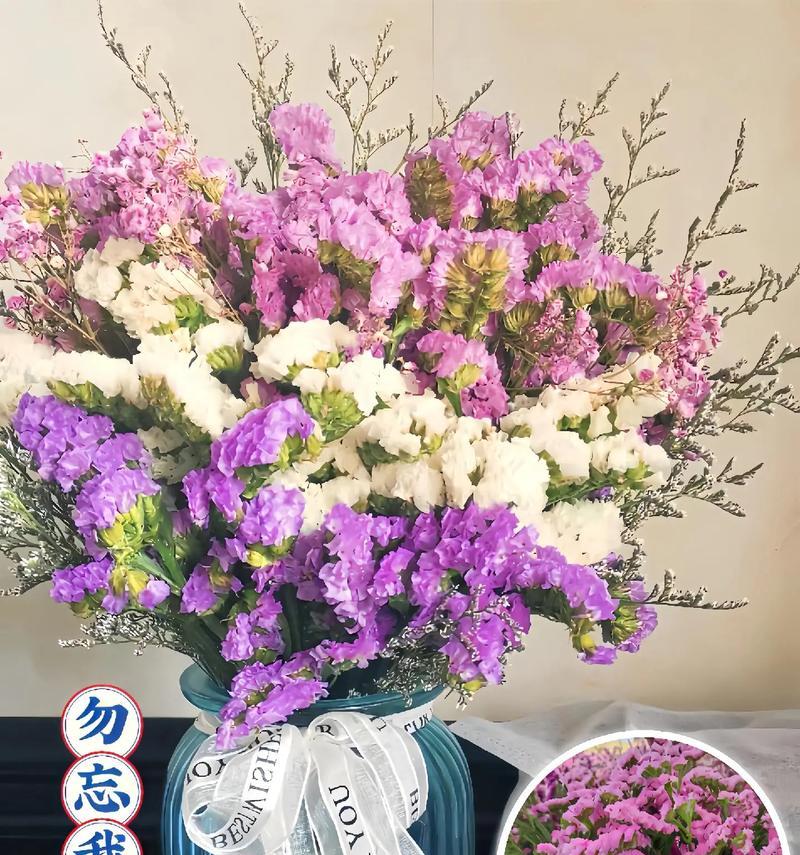 勿忘我花有哪五种不同的花语？