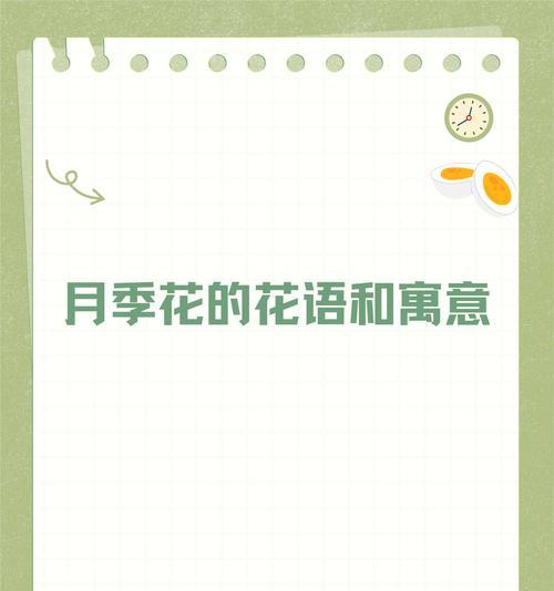 月季花代表心上人的花语是什么？