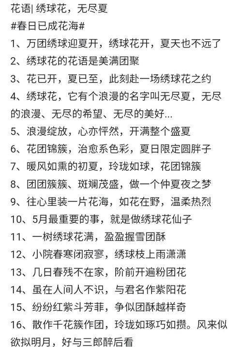 养绣球花的花语是什么？绣球花的花语有何特别之处？