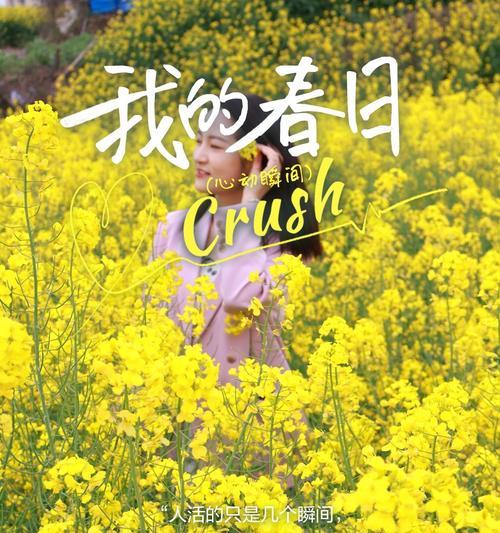 油油菜花的花语有何含义？油菜花的花语背后的故事。