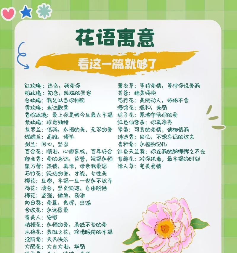 玖玫瑰花的花语有何特殊含义？玖玫瑰花的花语解读。