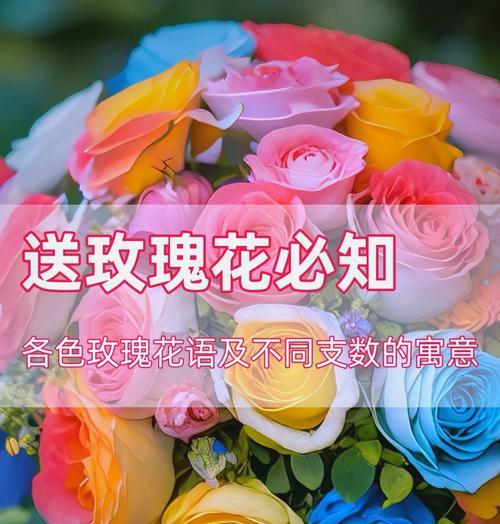 玖玫瑰花的花语有何特殊含义？玖玫瑰花的花语解读。