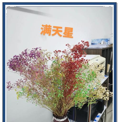 小满天星的花语有何寓意？小满天星的花语含义是什么？