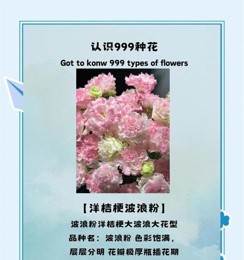 3朵洋桔梗花语有何含义？洋桔梗的花语代表什么？