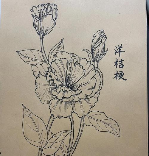 3朵洋桔梗花语有何含义？洋桔梗的花语代表什么？