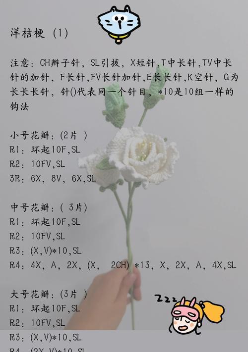 三叉洋桔梗的花语代表什么？