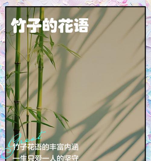 竹子和百合的花语有何寓意？