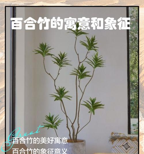 百合竹开花的花语是什么？