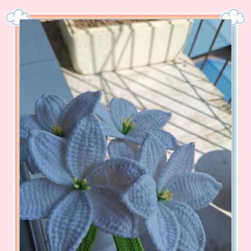卡本百合的花语有何特别之处？