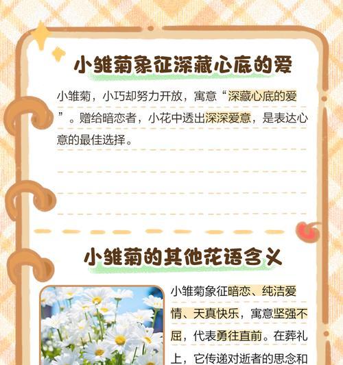 五彩小雏菊的花语代表什么？
