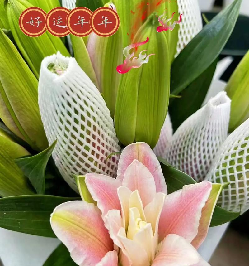百合花的文艺花语有哪些？