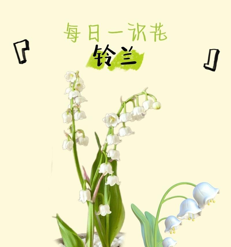 铃兰花四季开放的花语是什么？