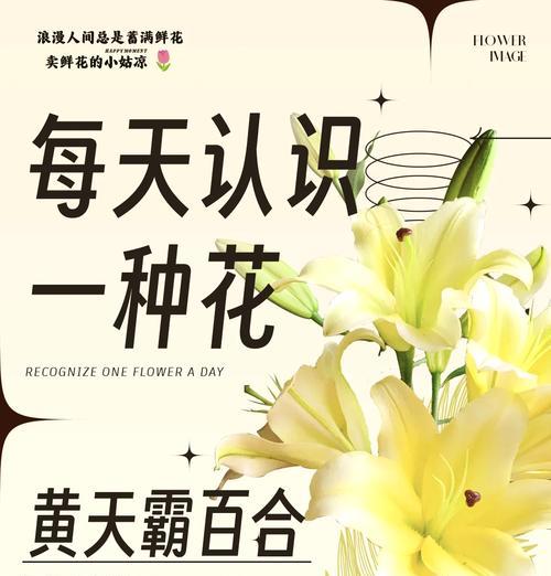 黄百合代表的花语是友谊吗？
