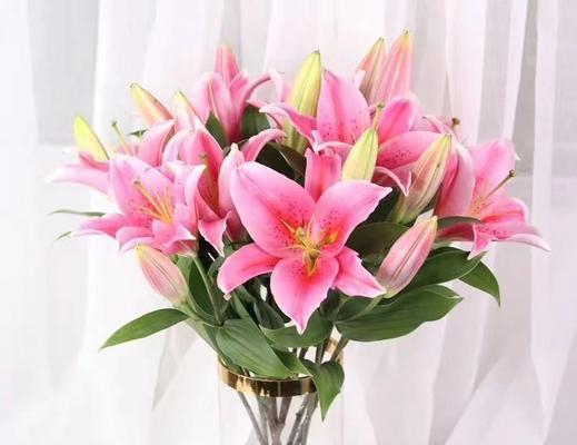 百合花语中可能包含哪些情感？
