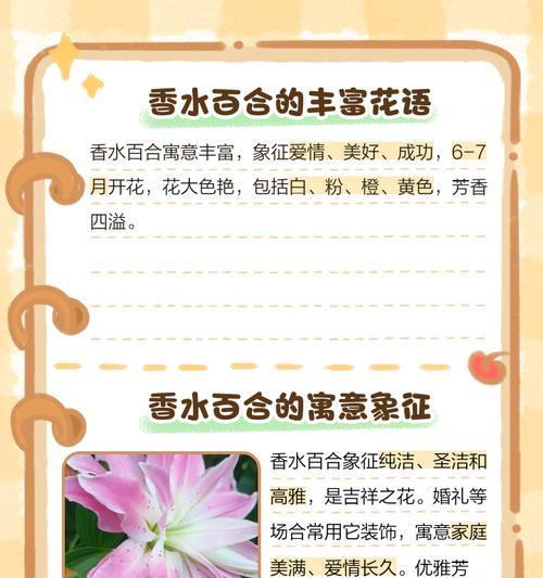 百合花语中可能包含哪些情感？