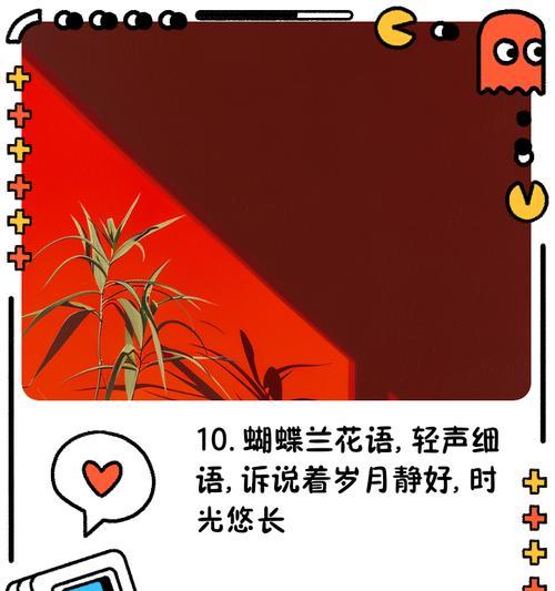 蝴蝶兰花语故事是什么？