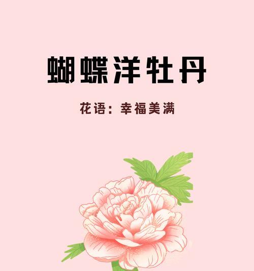 两朵牡丹花的花语是什么？