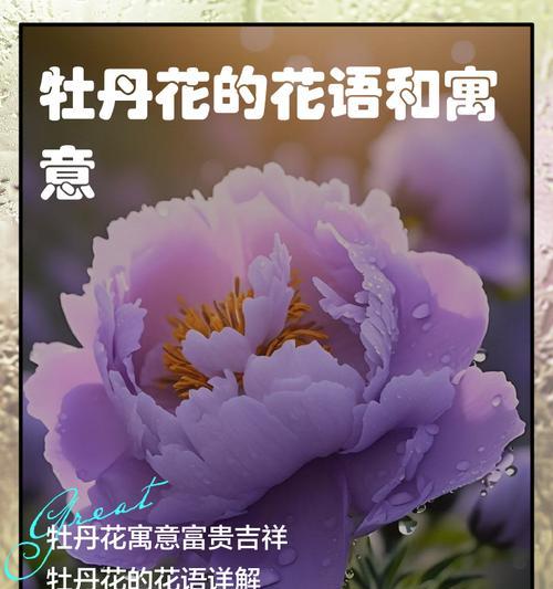 两朵牡丹花的花语是什么？