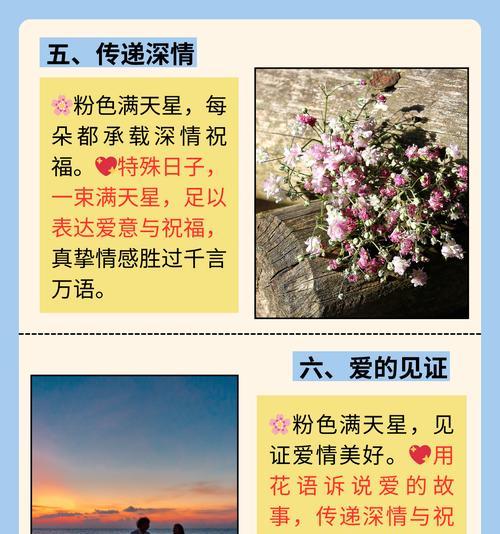 满天星作为闺蜜花语有何含义？