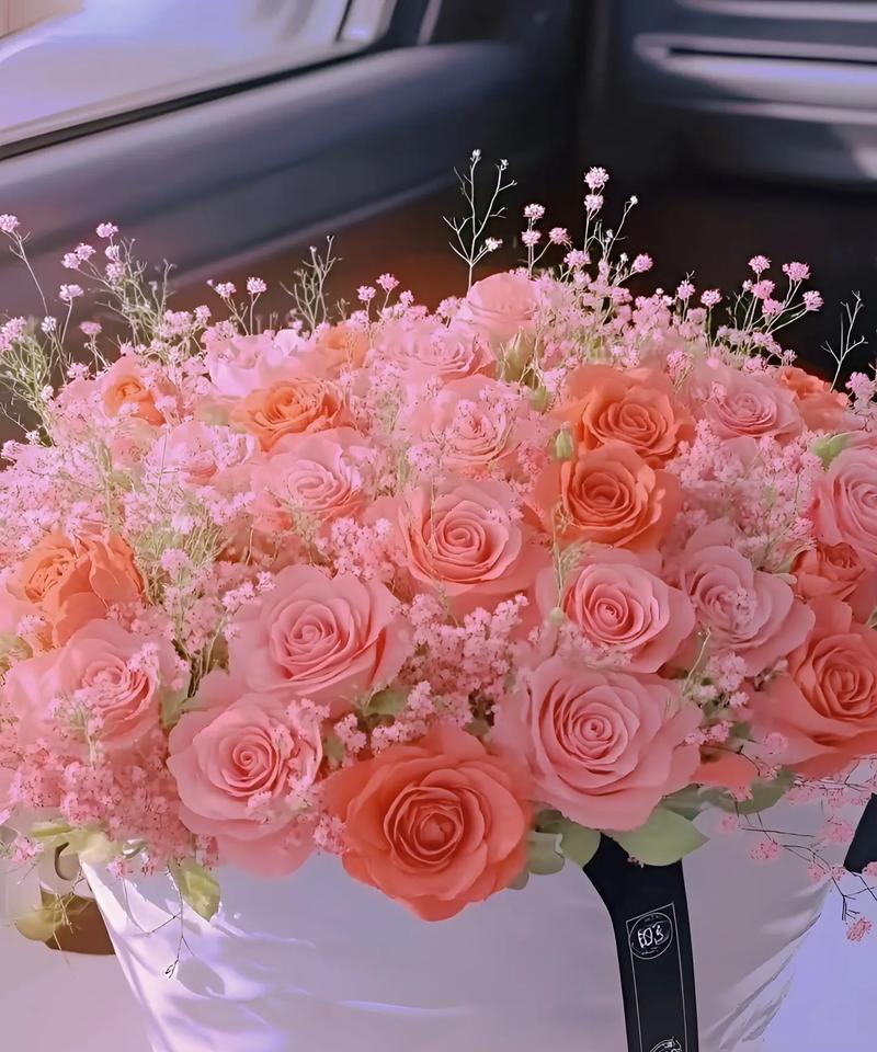 满天星作为闺蜜花语有何含义？