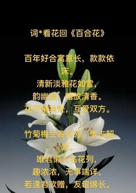 百合花花语贺卡应该怎样选择？