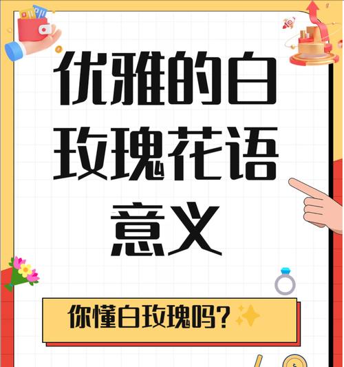 白玖瑰花的花语有哪些？