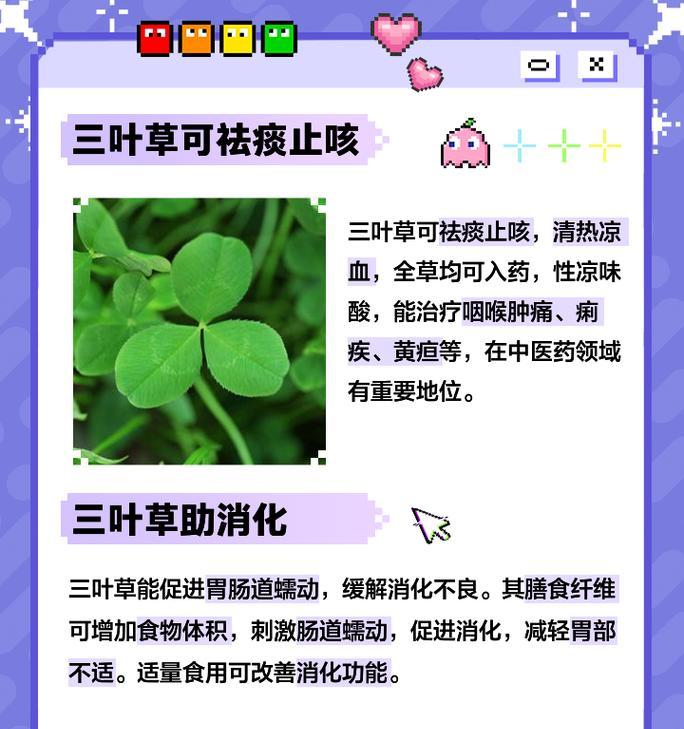 红花三叶草的花语是什么？