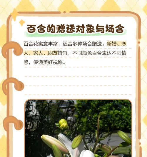 百合花语和传说有哪些？