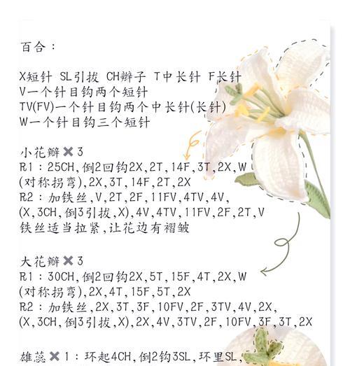 白百合的花语简介是什么？
