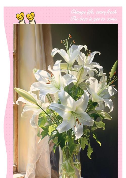 百合花好点的花语是什么？