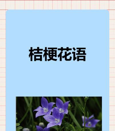 哪种花的花语是永恒不变的？