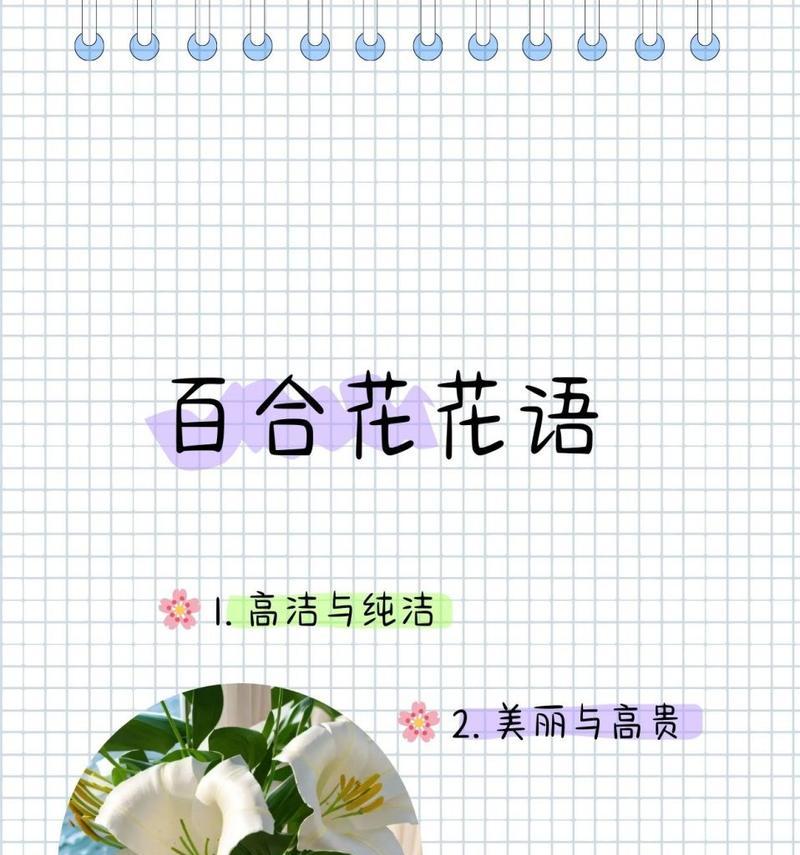 插花中百合花的花语有何特别？