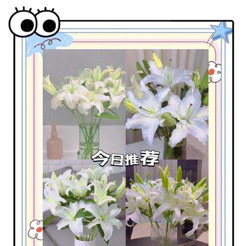 插花中百合花的花语有何特别？