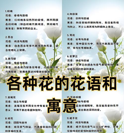 三朵红百合的花语有何特别含义？