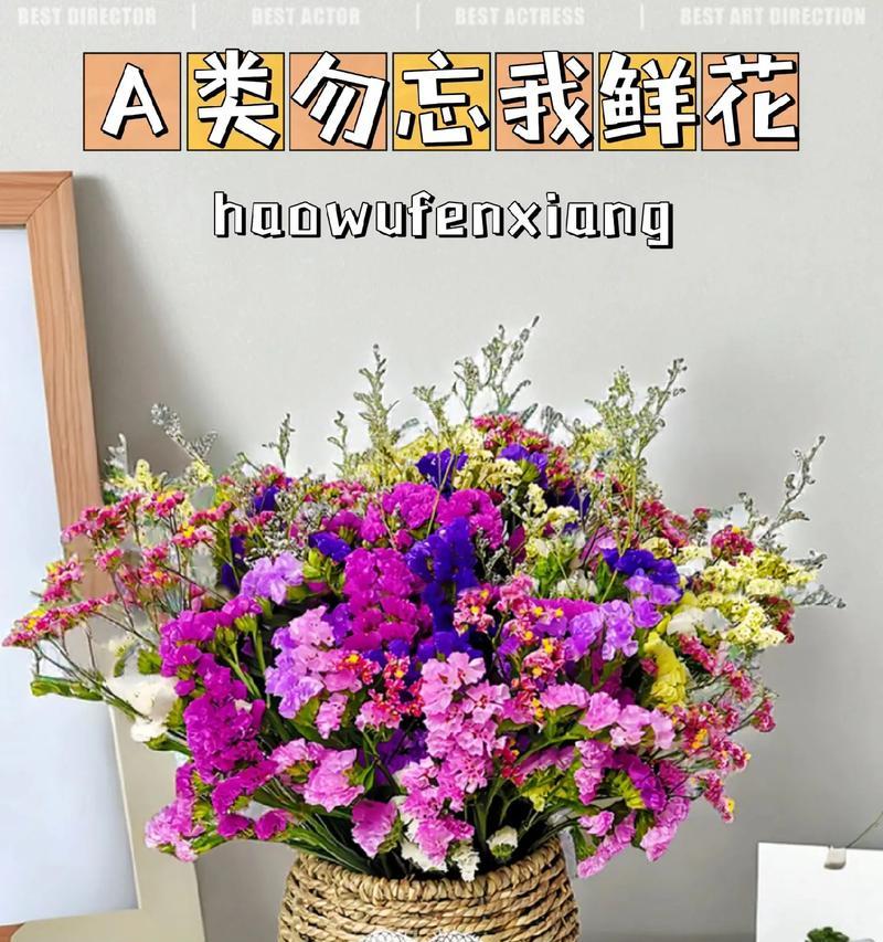 勿忘我六种颜色的花语分别是什么？