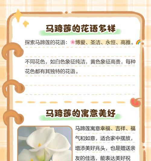 自色马蹄莲的花语有哪些？它象征着什么？