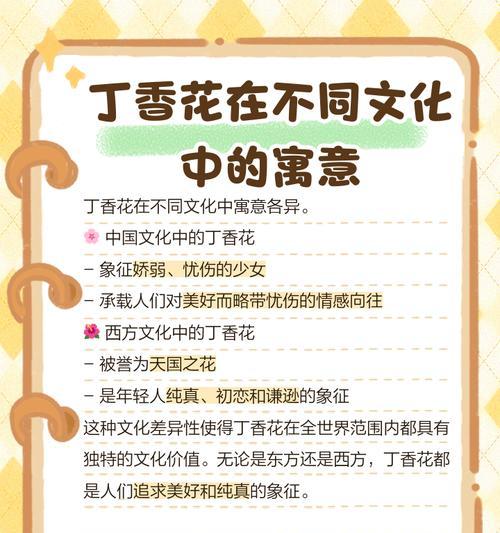 丁香花的花语是什么形状？它代表了什么？