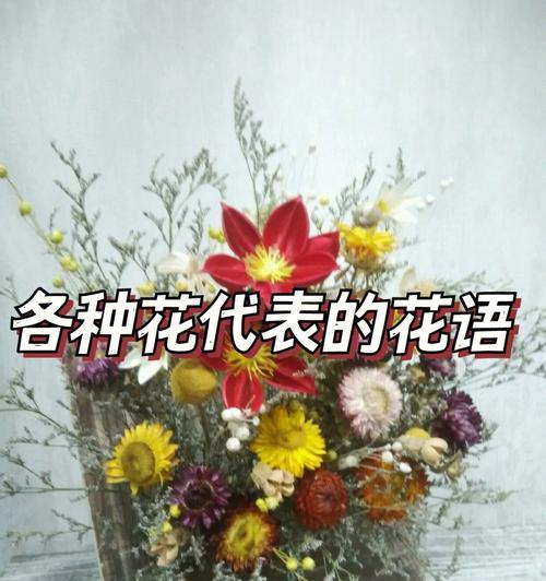 一年中每天的花语是什么？如何找到对应的花语？