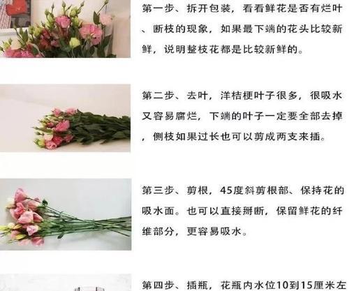 桔梗花的养护技巧和注意事项是什么？