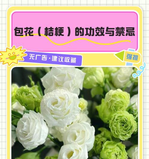 桔梗花的养护技巧和注意事项是什么？