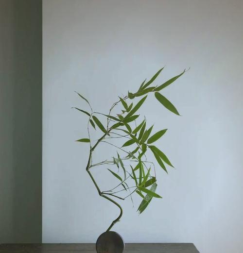 花干开花的秘诀是什么？