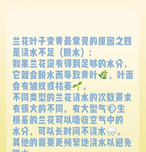 兰花叶子发黄的解决方法？