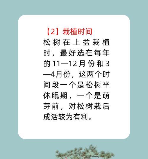 松树盆景有哪些种类？如何养护？