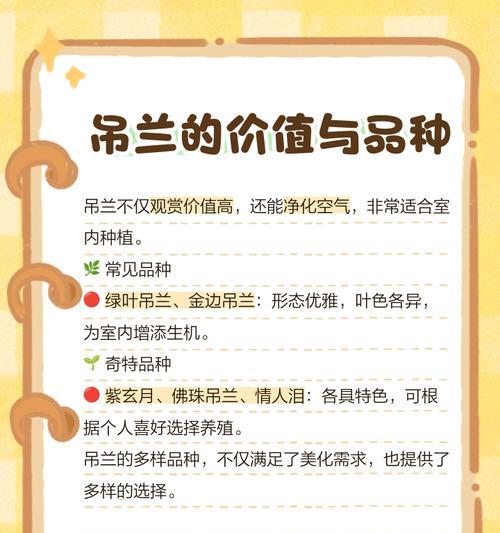 吊兰的养殖方法和特点是什么？