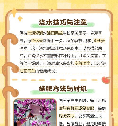 吊兰的养殖方法和特点是什么？
