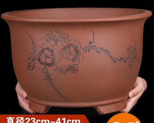 挑选紫砂花盆的标准是什么？哪种花盆适合哪种植物？