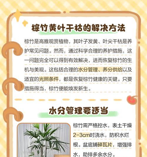 植物叶子发黄的原因和解决方法是什么？