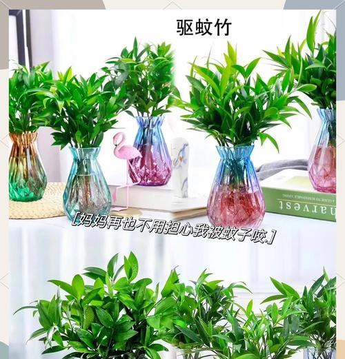 哪些植物具有驱蚊效果？如何利用植物来驱赶蚊虫？