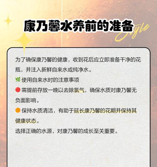 水培康乃馨的正确方法是什么？